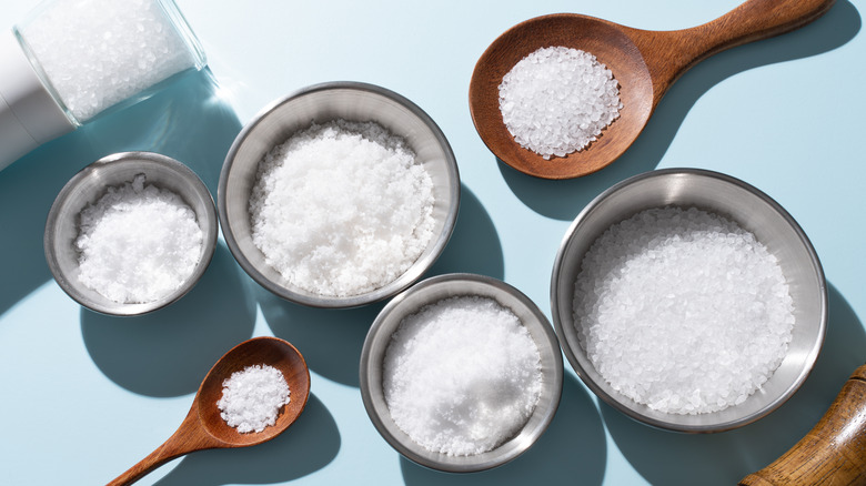 variety of sea salt