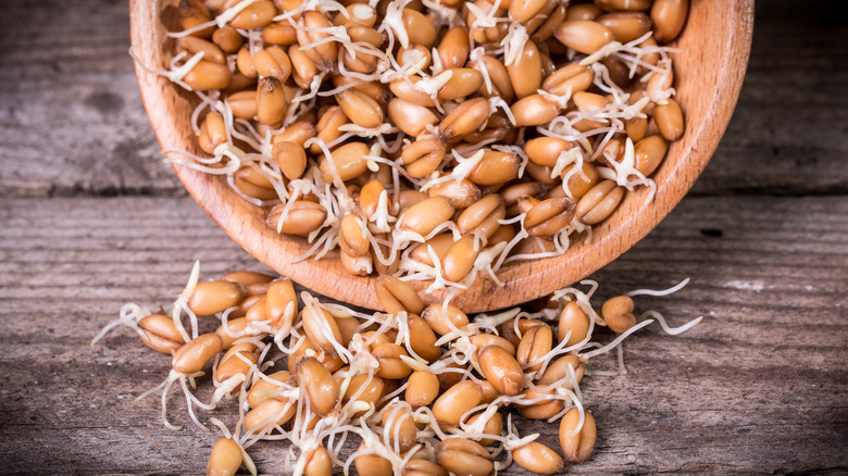 bowl of wheat germ