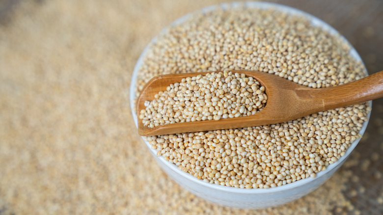 bowl of millet with scoop