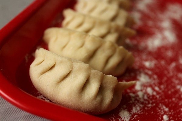 Buffalo Chicken Dumplings