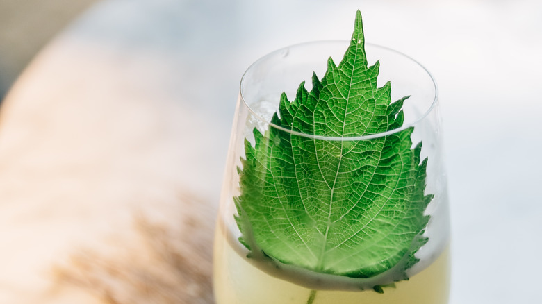 Cocktail with shiso leaf