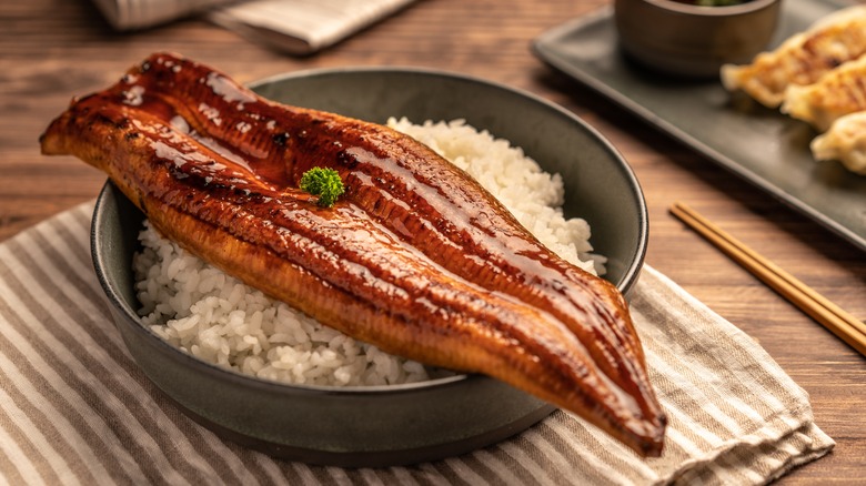 grilled eel over rice