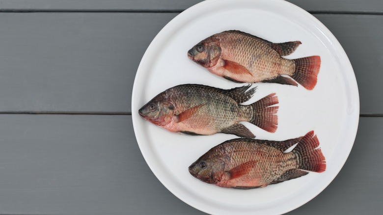 tilefish on a plate