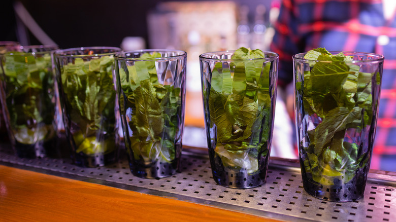 Glasses full of mint on bar