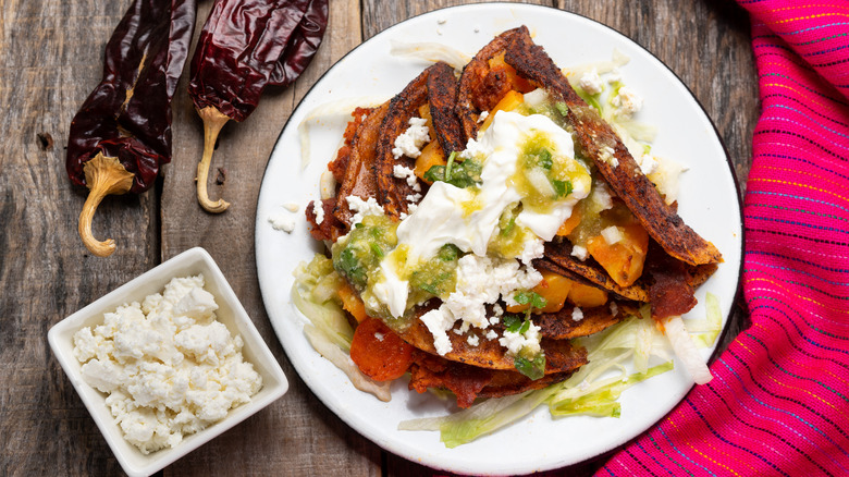 enchiladas potosinas on white plate