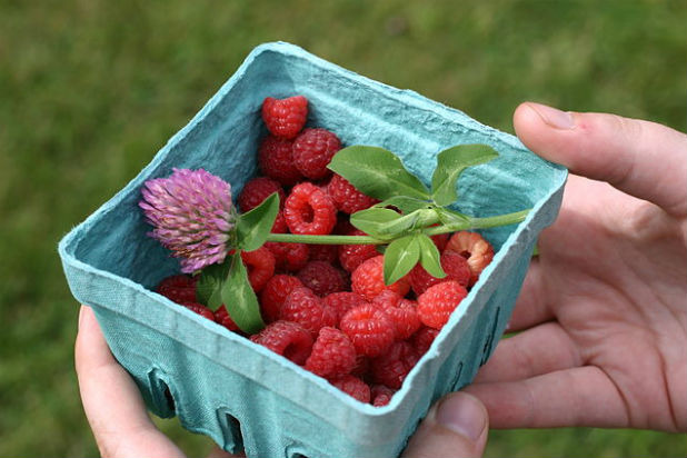 Raspberries