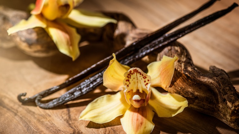 vanilla flowers and vanilla pods