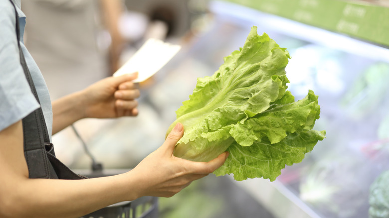 person holding lettuce in supermarket