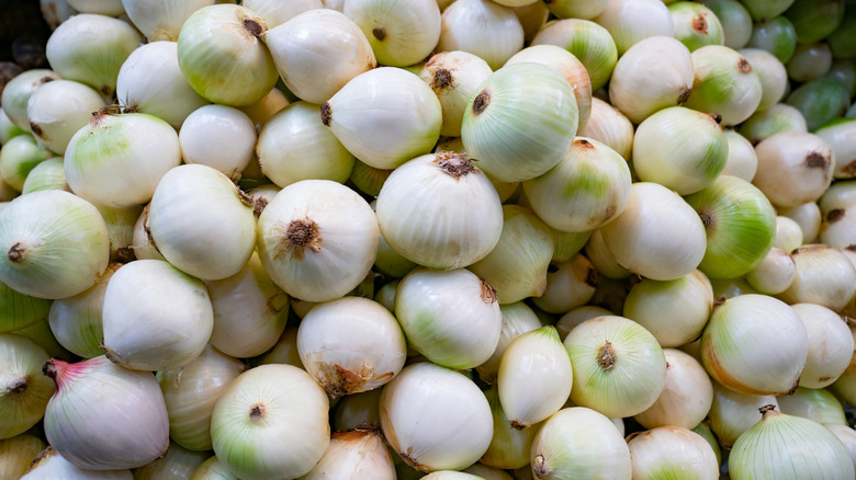 pile of white onions