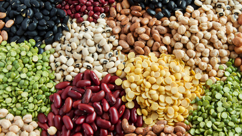 colorful dry beans in piles