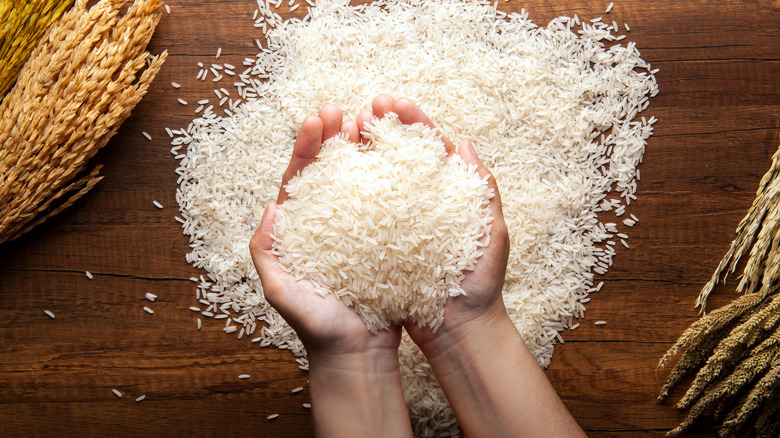 hands holding white rice