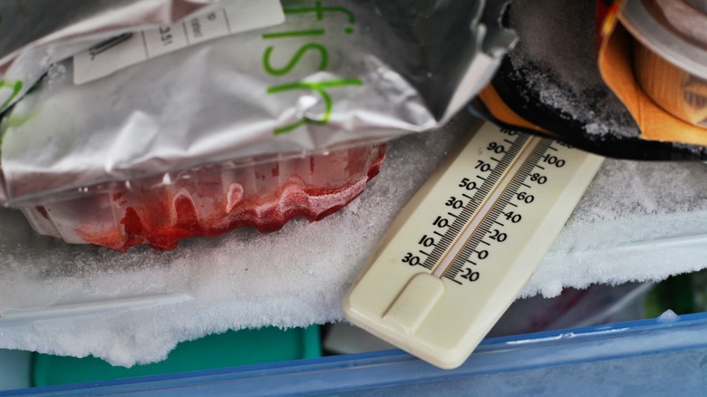 thermometer in freezer