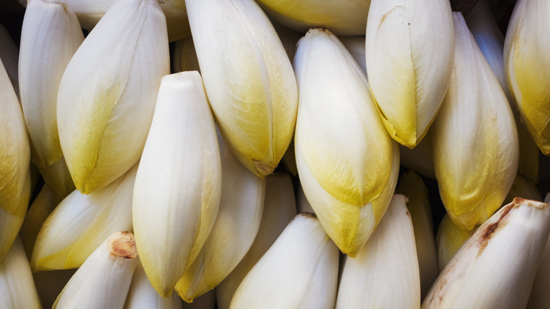 pile of endives