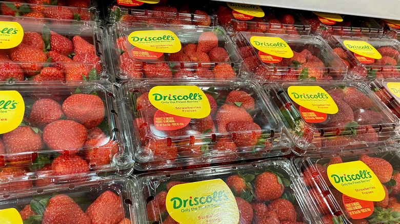 Driscoll's strawberries