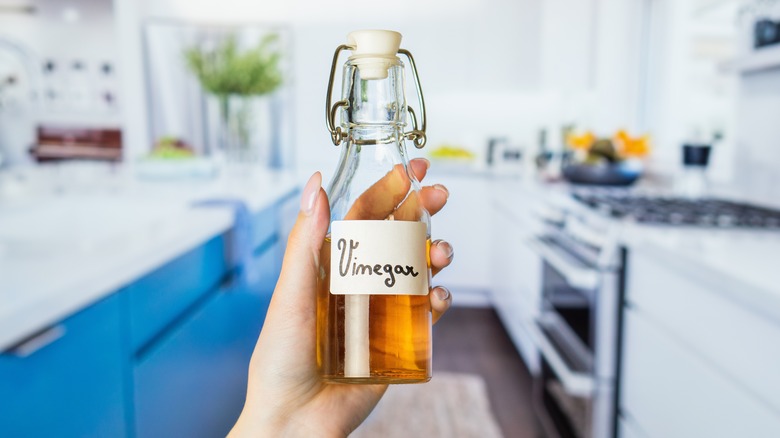 hand holding vinegar bottle