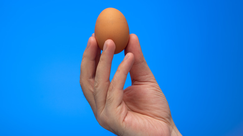hand holding egg