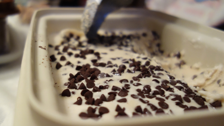 homemade chocolate chip ice cream