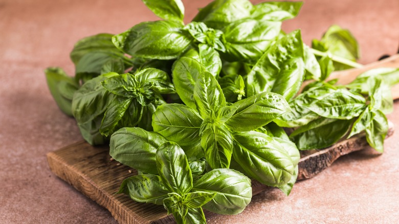 Fresh basil leaves