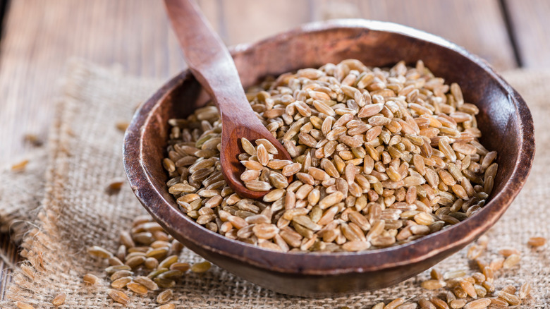 bowl of uncooked farro