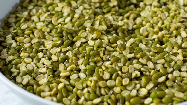 bowl of green lentils