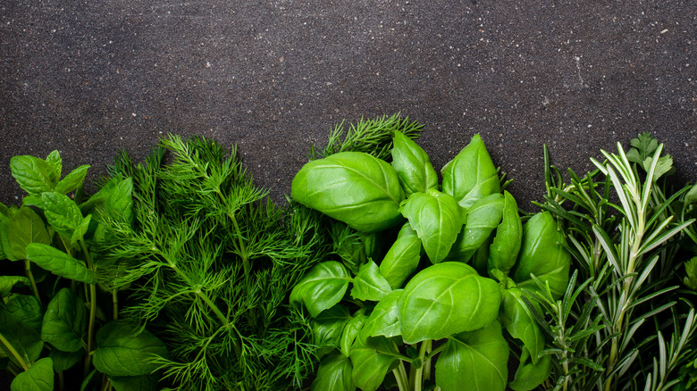 Assorted fresh green herbs