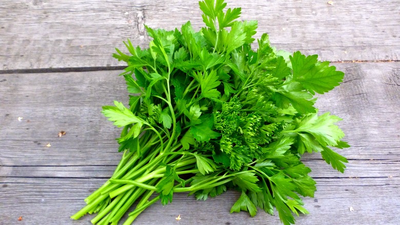 bunch of parsley