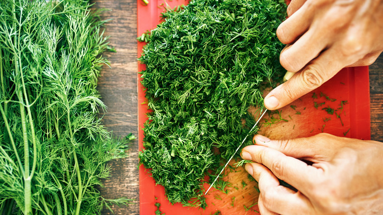 person cutting dill