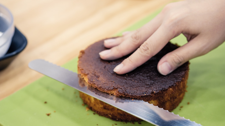 person cutting cake with knife