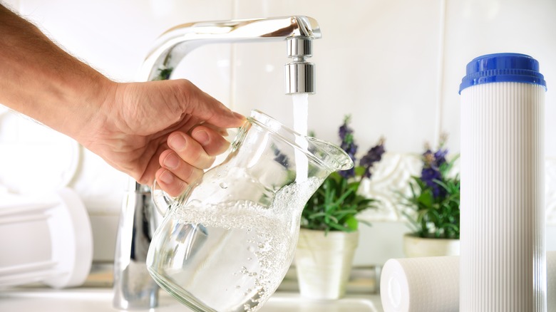 filling a water pitcher