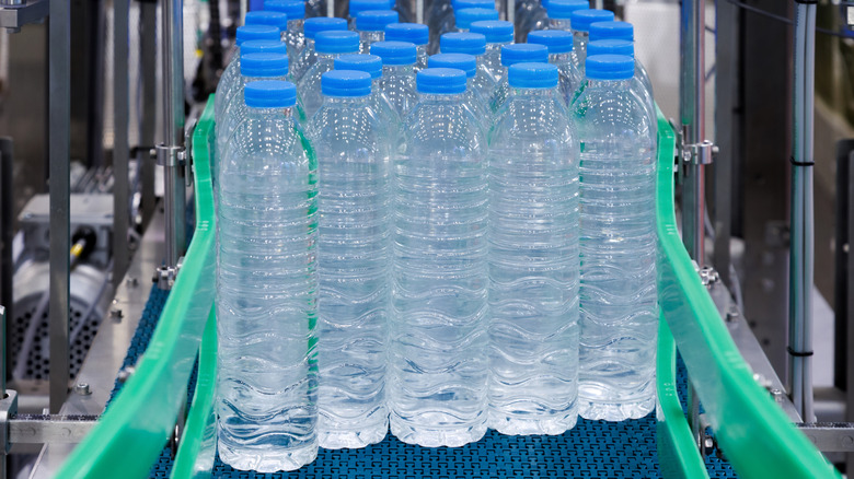 Plastic bottles with blue caps on conveyor belt