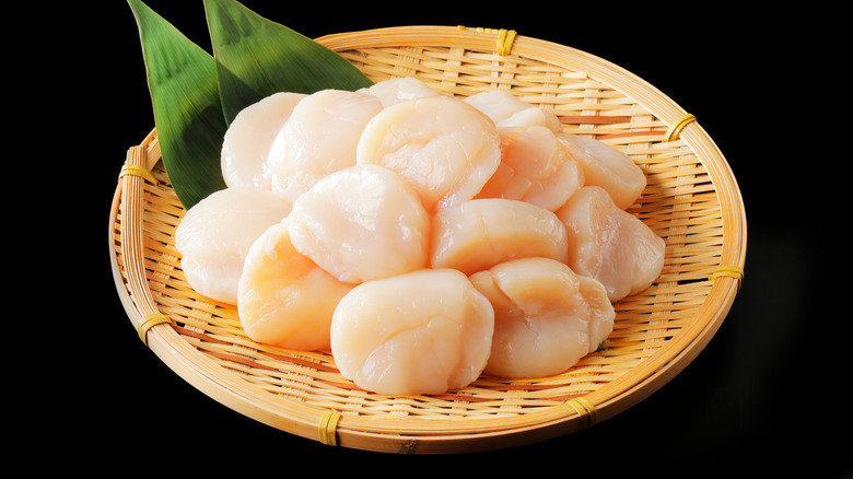 raw real scallops in bowl