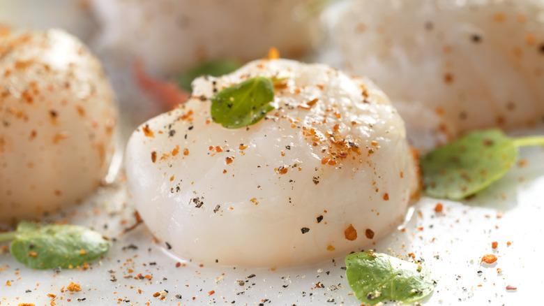 raw scallops with seasonings