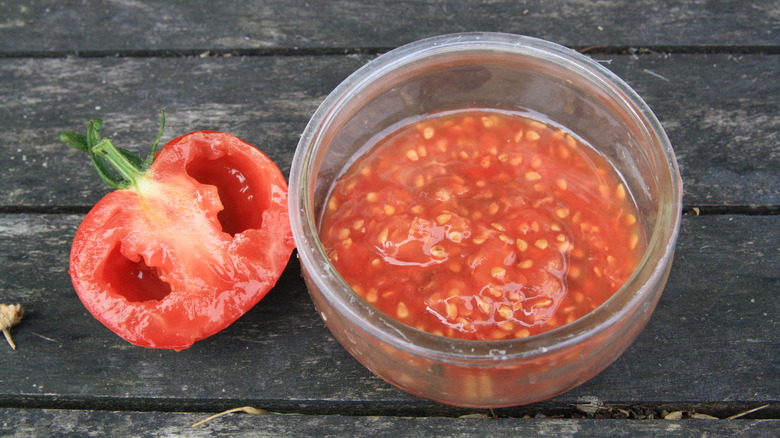 Removing seeds from tomato