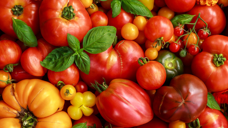 Heirloom tomatoes