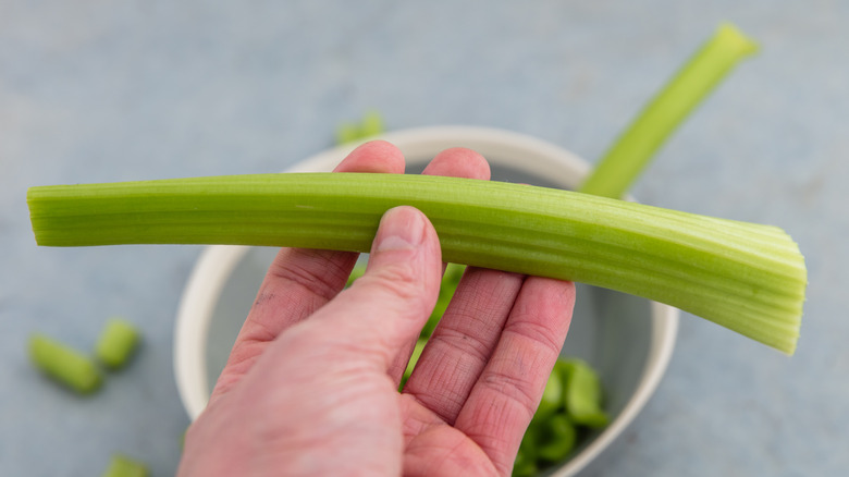 hand holding fresh celery stalk