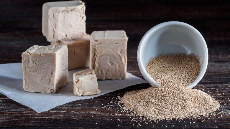 Assorted types of yeast