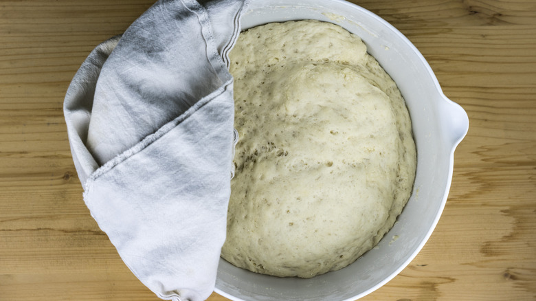 Bread dough rising