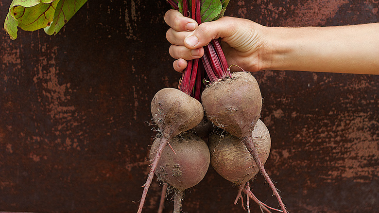 Hand holding fresh beets