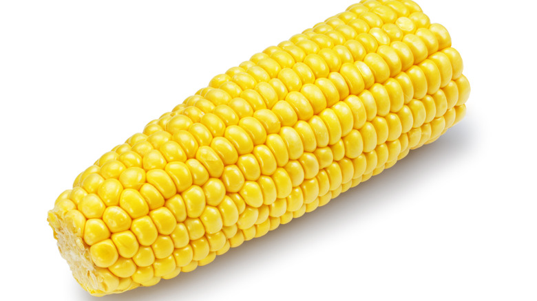 husked corn on the cob