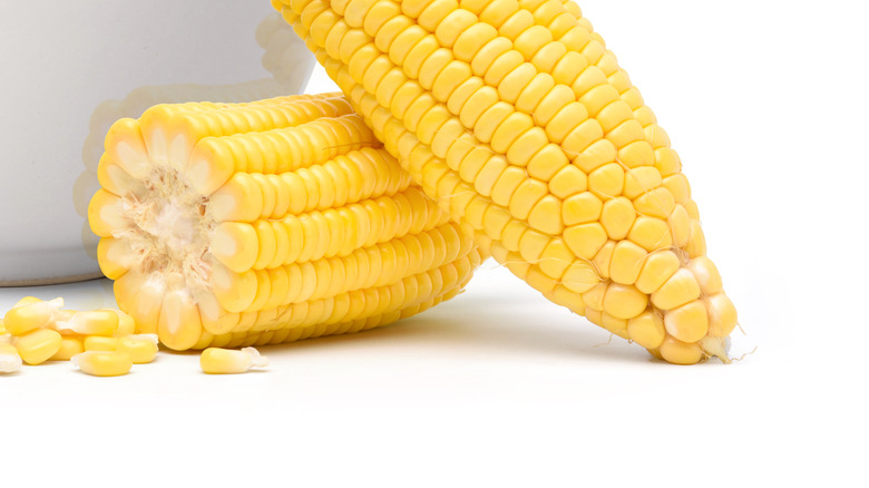 corn cobs on countertop