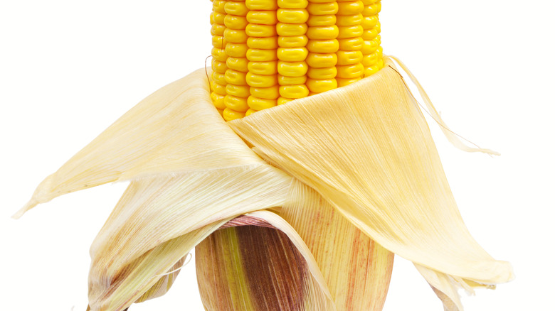 Corn in dry, brittle husk