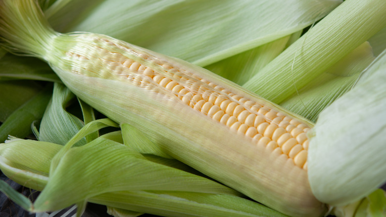 corn in husk