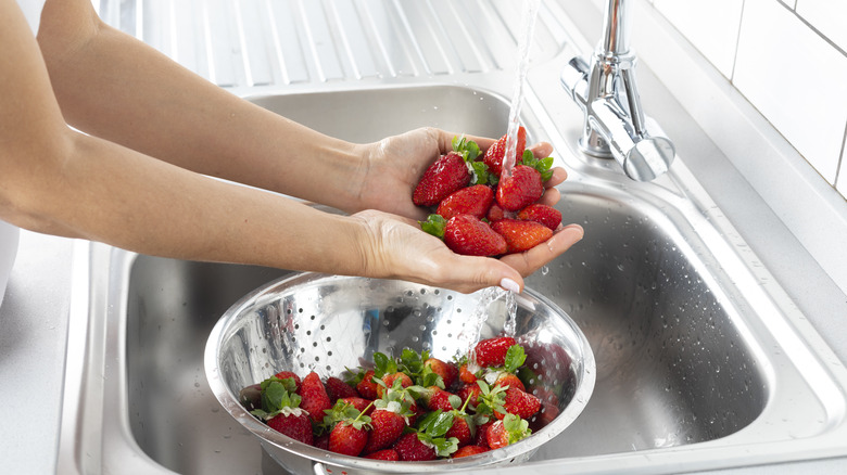 Rinsing fresh strawberries