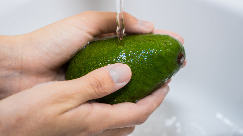 person washing avocado