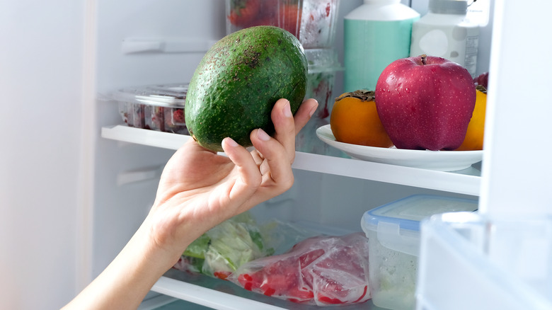 person putting avocado in fridge