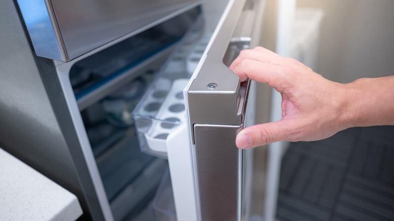 Person opening refrigerator door