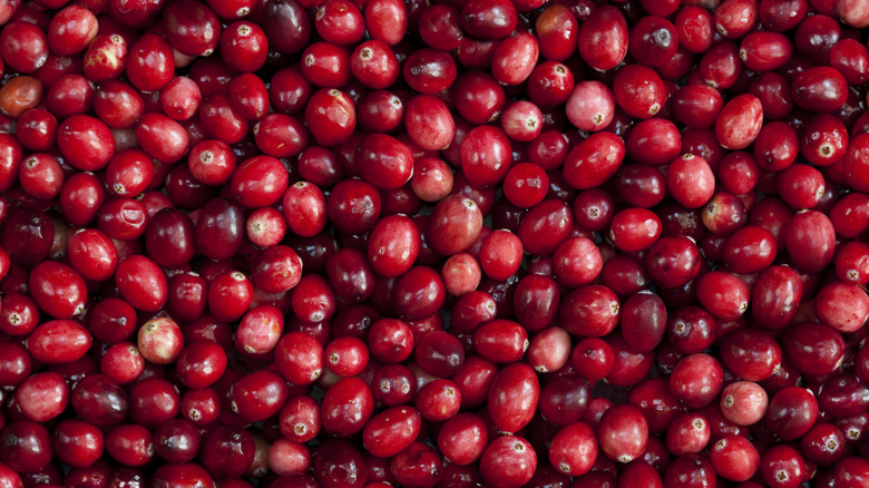 Fresh cranberries