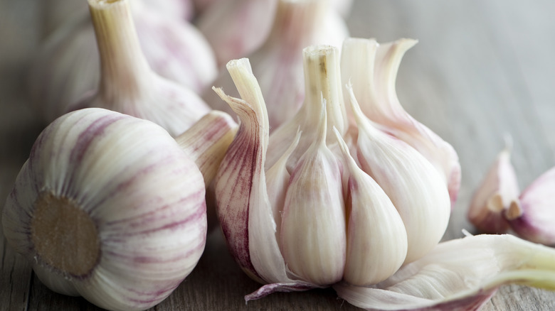 close-up of garlic bulbs