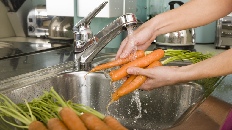 person washing carrots in sink