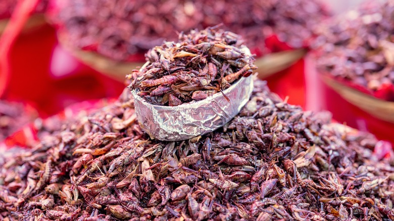 chapulines